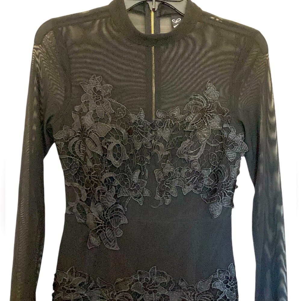 Windsor lace and sheer dress, black , lace is a flora like design, S